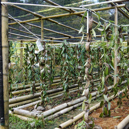 farm-visit-img3